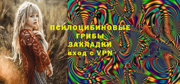 винт Гусь-Хрустальный