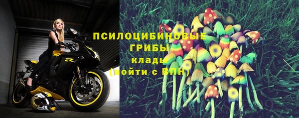 бутират Гусиноозёрск
