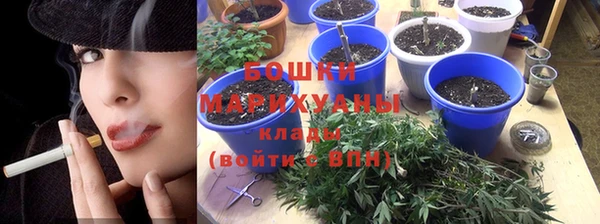 винт Гусь-Хрустальный