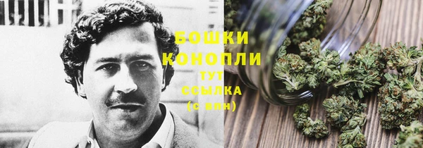 мет Гусев