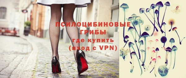 винт Гусь-Хрустальный